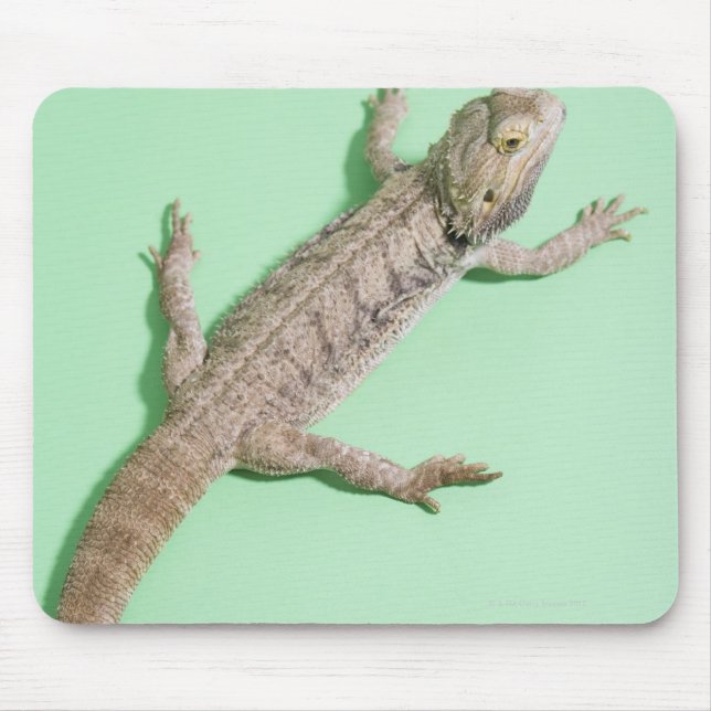 Bearded dragon mouse mat (Front)