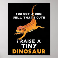 Bearded Dragon Owner Bearded Dragon Pet Bearded