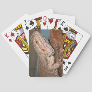 Bearded Dragon Playing Cards