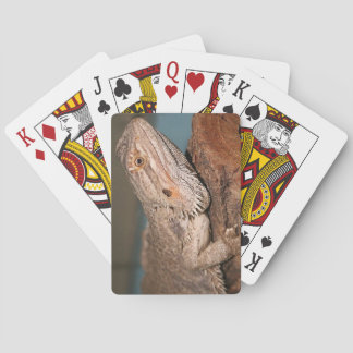 Bearded Dragon Playing Cards