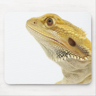 Bearded dragon (Pogona Vitticeps) Mouse Mat