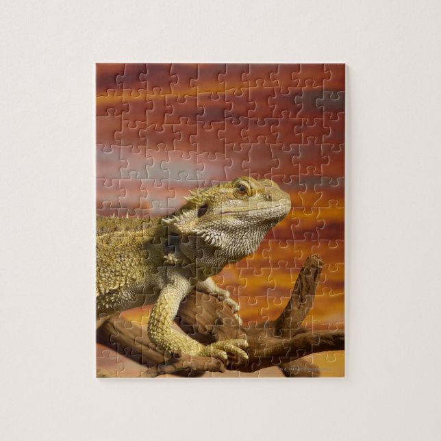 Bearded dragon (Pogona Vitticeps) on branch, Jigsaw Puzzle (Vertical)