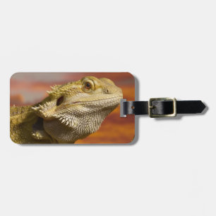 Bearded dragon (Pogona Vitticeps) on branch, Luggage Tag