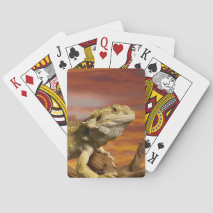 Bearded dragon (Pogona Vitticeps) on branch, Playing Cards