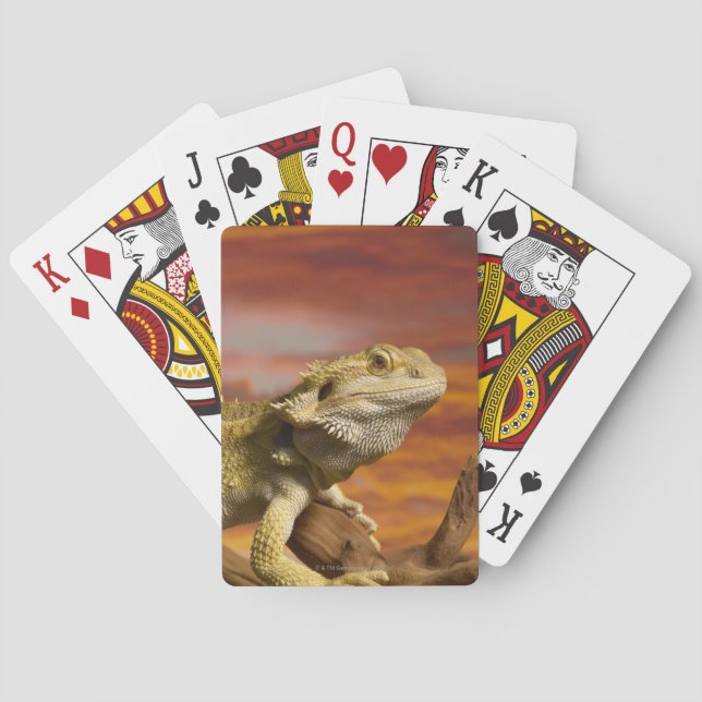 Bearded dragon (Pogona Vitticeps) on branch, Playing Cards (Back)