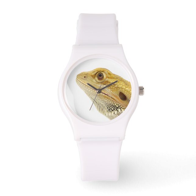 Bearded dragon (Pogona Vitticeps) Watch (Front)