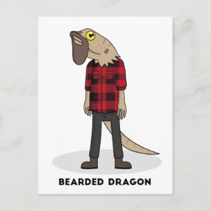 Bearded Dragon Postcard