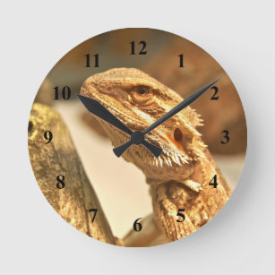Bearded Dragon Round Clock