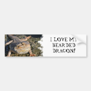 Bearded Dragon Series Bumper Sticker