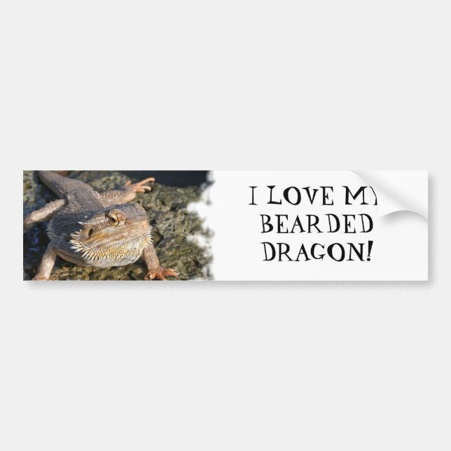 Bearded Dragon Series Bumper Sticker (Front)