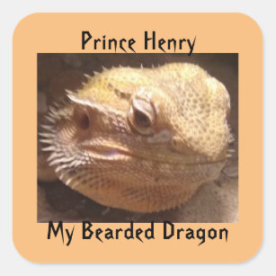 Bearded Dragon Stickers