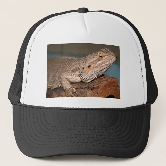 Bearded Dragon Trucker Hat (Front)