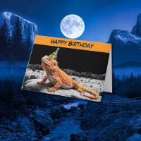Bearded dragon wearing birthday hat birthday
