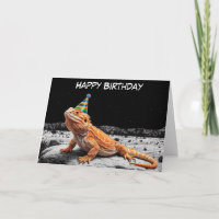 Bearded dragon wearing birthday hat birthday