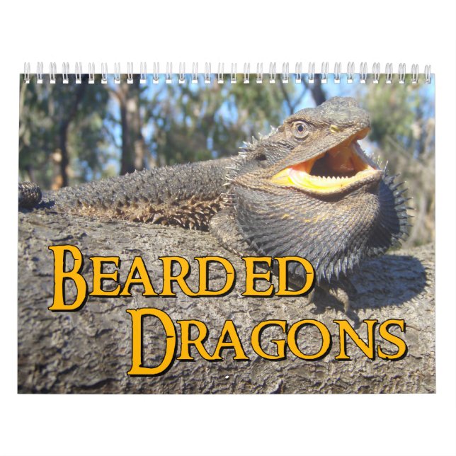 Bearded Dragons Wall Calendar (Cover)