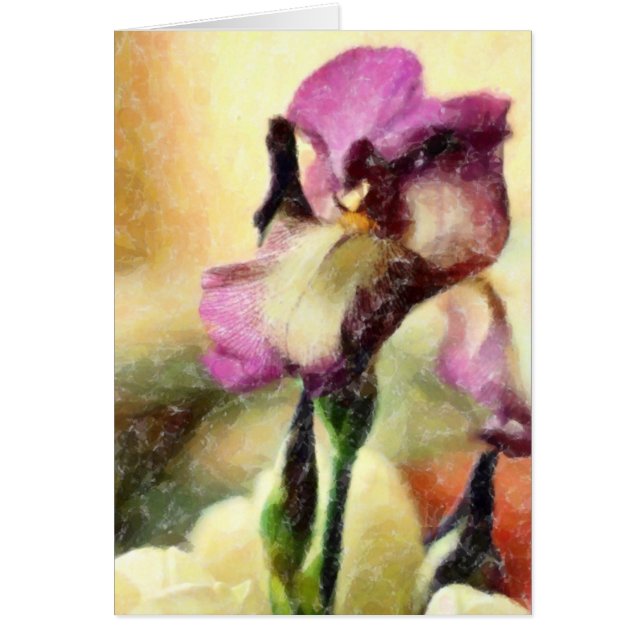 BEARDED IRIS (Front)