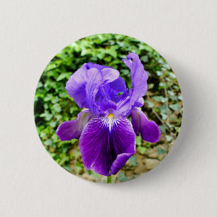 Bearded Iris Badge