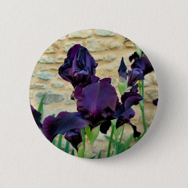 Bearded Iris Badge (Front)