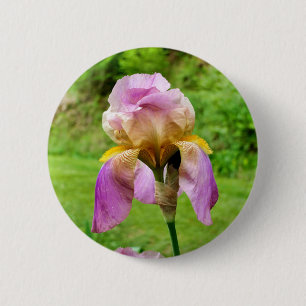 Bearded Iris Badge