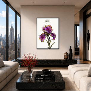 Bearded Iris Botanical Art Print