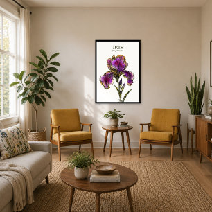 Bearded Iris Botanical Art Print