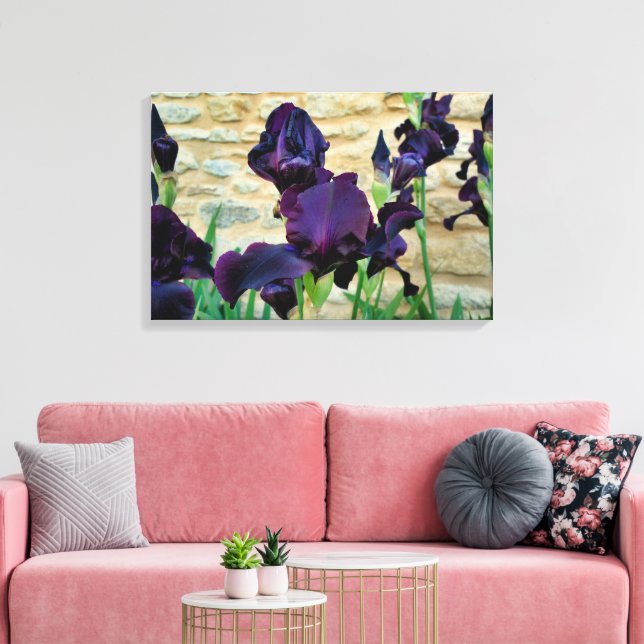 Bearded Iris Canvas Print (Insitu(LivingRoom))