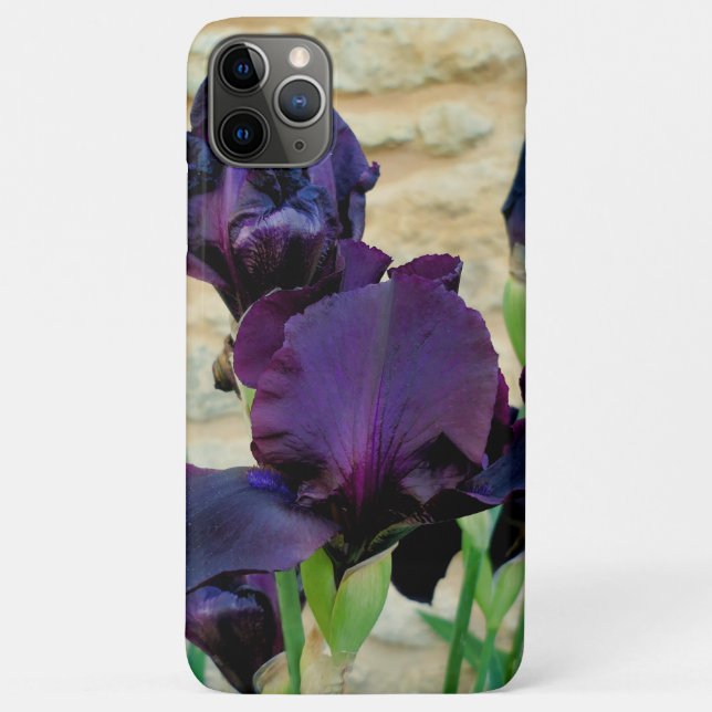 Bearded Iris Case-Mate iPhone Case (Back)
