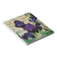 Bearded Iris