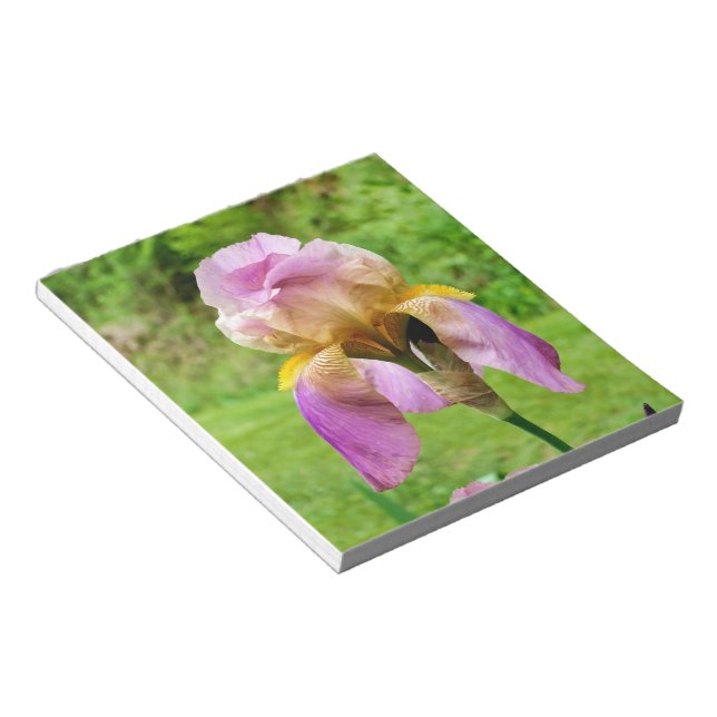 Bearded Iris Notepad (Angled)