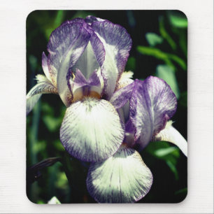 Bearded Iris Pair Flower Mouse Mat