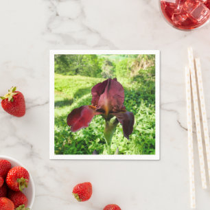 Bearded Iris Paper Napkins