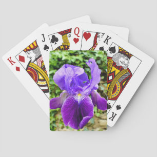 Bearded Iris Playing Cards