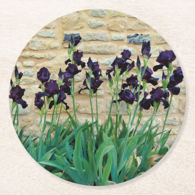 Bearded Iris Round Paper Coaster (Front)