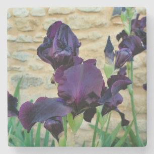 Bearded Iris Stone Coaster