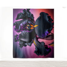 Bearded Iris