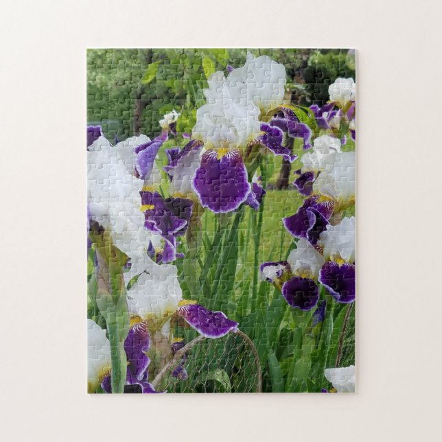 Bearded Irises Spring Flowers Jigsaw Puzzle (Vertical)