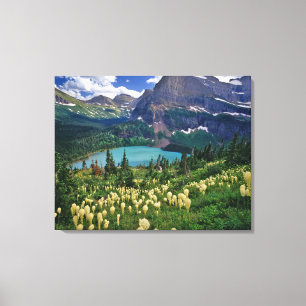 Beargrass above Grinnell Lake in the Many Canvas Print