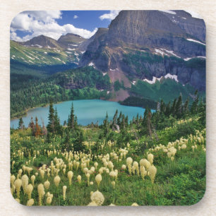 Beargrass above Grinnell Lake in the Many Coaster