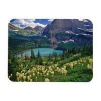 Beargrass above Grinnell Lake in the Many