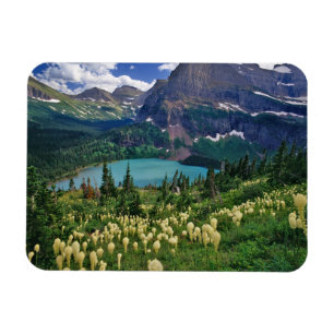 Beargrass above Grinnell Lake in the Many Magnet