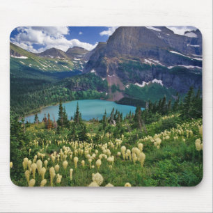 Beargrass above Grinnell Lake in the Many Mouse Mat