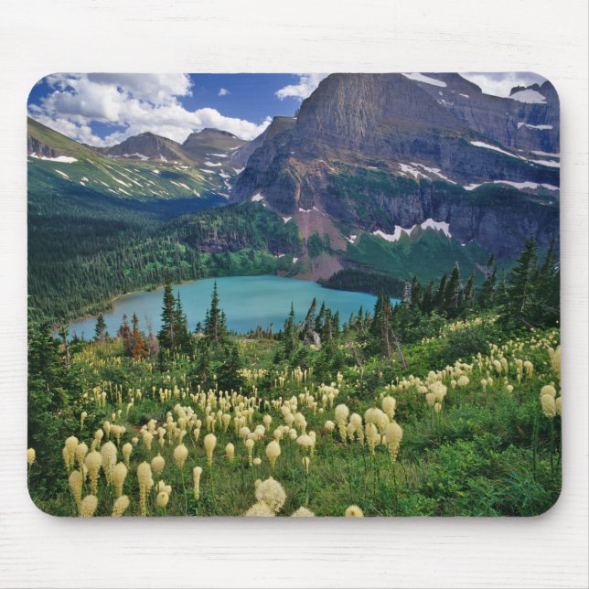 Beargrass above Grinnell Lake in the Many Mouse Mat (Front)