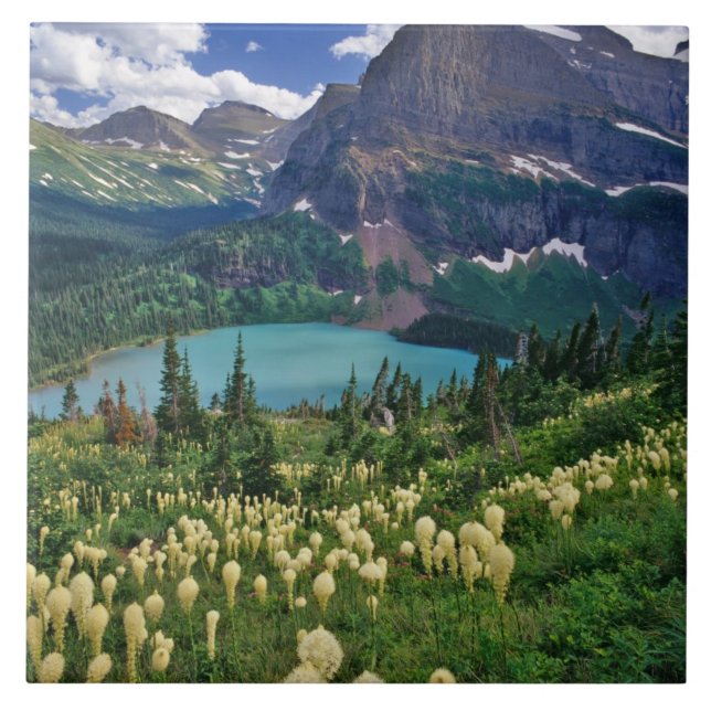 Beargrass above Grinnell Lake in the Many Tile (Front)