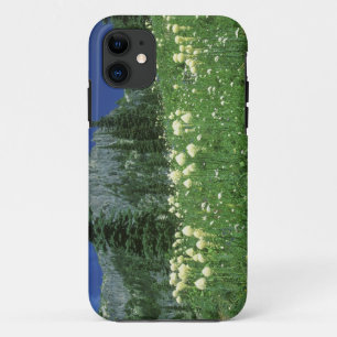 Beargrass at Eunice Lake, Mt. Rainier NP, WA, iPhone 11 Case