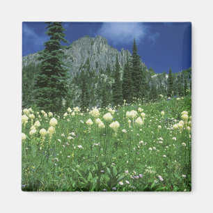 Beargrass at Eunice Lake, Mt. Rainier NP, WA, Magnet