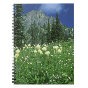Beargrass at Eunice Lake, Mt. Rainier NP, WA, Notebook