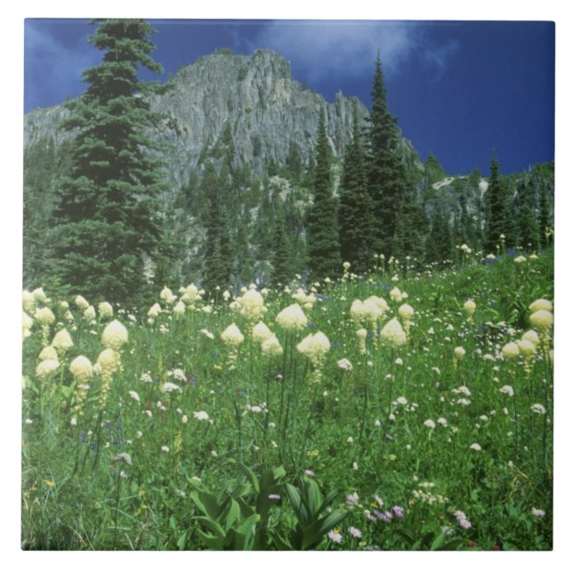 Beargrass at Eunice Lake, Mt. Rainier NP, WA, Tile (Front)