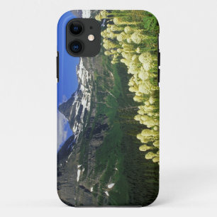 Beargrass at Logan Pass in Glacier National Park iPhone 11 Case