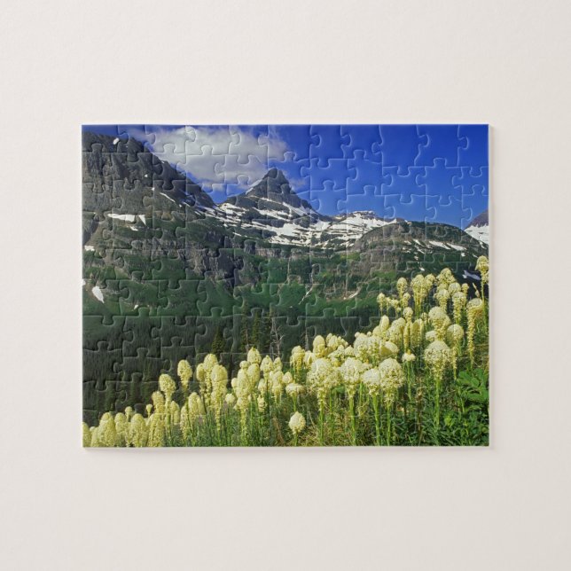 Beargrass at Logan Pass in Glacier National Park Jigsaw Puzzle (Horizontal)
