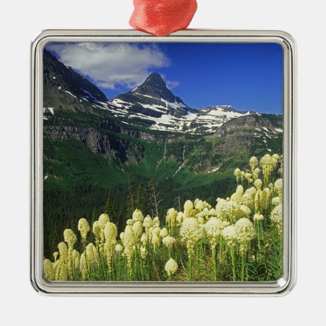 Beargrass at Logan Pass in Glacier National Park Metal Tree Decoration (Front)